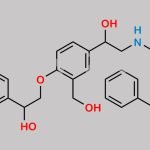 Salmeterol EP Impurity D CAS#: 1391052-04-2