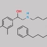 Salmeterol EP Impurity F CAS#: 1391054-40-2