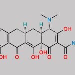 Minocycline EP Impurity B CAS#: 808-26-4