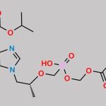 Tenofovir Disoproxil Fumarate IP Impurity E CAS#: 1244022-56-7
