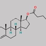 Testosterone Enantate EP Impurity B CAS#: 10312-45-5