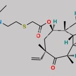 Tiamulin EP Impurity F CAS#: N/A