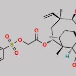 Tiamulin EP Impurity P CAS#: N/A