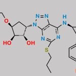 Ticagrelor Related Compound 85 CAS#: N/A