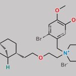 Trans-Pinaverium Bromide CAS#: 1970218-70-2