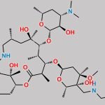 Tulathromycin Impurity E CAS#: 217500-34-0