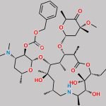 Tulathromycin TA-2 Impurity CAS#: 371193-61-2