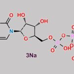 Uridine-5'-triphosphate trisodium salt CAS#: 19817-92-6