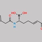Vaborbactam Impurity 9 CAS#: N/A