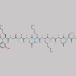 Vosoritide D-Asp-29 Impurity CAS#: N/A
