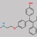 (Z)-4-Hydroxy-N-Desmethyl Tamoxifen CAS#: 112093-28-4