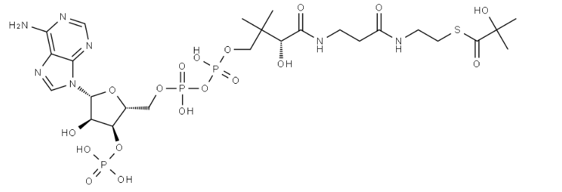 Structure of 2-hydroxyisobutyryl-CoA CAS 1383119-39-8