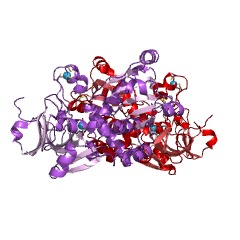 Example Structure of galactose 1-dehydrogenase (NADP+) EC#: 1.1.1.120