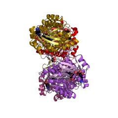 Example Structure of inositol 2-dehydrogenase EC#: 1.1.1.18