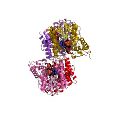 Example Structure of flavanone 4-reductase EC#: 1.1.1.234