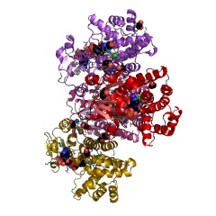 Example Structure of sn-glycerol-1-phosphate dehydrogenase EC#: 1.1.1.261