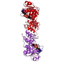 Example Structure of quinate/shikimate dehydrogenase EC#: 1.1.1.282