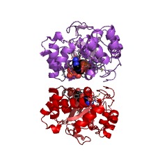Example Structure of methylglyoxal reductase (NADPH) EC#: 1.1.1.283
