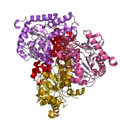 Example Structure of malate dehydrogenase [NAD(P)+] EC#: 1.1.1.299