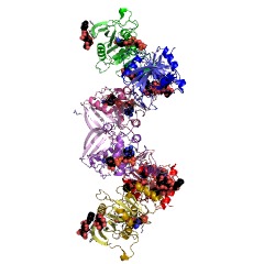 Example Structure of 2,5-diamino-6-(ribosylamino)-4(3H)-pyrimidinone 5'-phosphate reductase EC#: 1.1.1.302