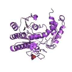 Example Structure of UDP-glucuronic acid dehydrogenase (UDP-4-keto-hexauronic acid decarboxylating) EC#: 1.1.1.305