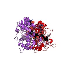 Example Structure of testosterone 17beta-dehydrogenase (NADP+) EC#: 1.1.1.64