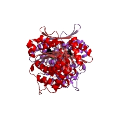 Example Structure of 3-isopropylmalate dehydrogenase EC#: 1.1.1.85