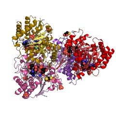 Example Structure of tartrate dehydrogenase EC#: 1.1.1.93