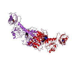 Example Structure of phosphoglycerate dehydrogenase EC#: 1.1.1.95