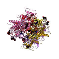 Example Structure of pyranose oxidase EC#: 1.1.3.10