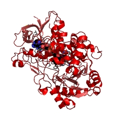 Example Structure of aryl-alcohol oxidase EC#: 1.1.3.7