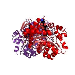 Example Structure of glucose-6-phosphate dehydrogenase (coenzyme-F420) EC#: 1.1.98.2