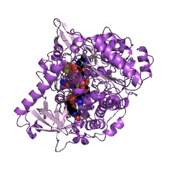 Example Structure of formate dehydrogenase (acceptor) EC#: 1.1.99.33