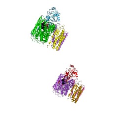 Example Structure of ubiquinol oxidase (H+-transporting) EC#: 1.10.3.10