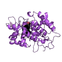 Example Structure of cytochrome-c peroxidase EC#: 1.11.1.5