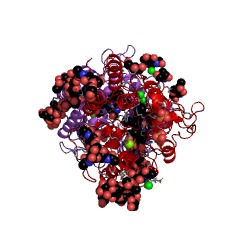 Example Structure of unspecific peroxygenase EC#: 1.11.2.1