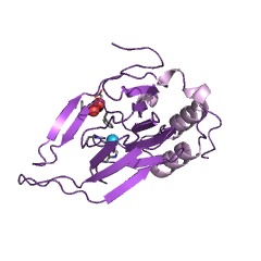 Example Structure of cysteine dioxygenase EC#: 1.13.11.20