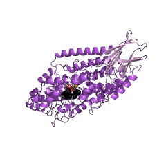 Example Structure of arachidonate 12-lipoxygenase EC#: 1.13.11.31