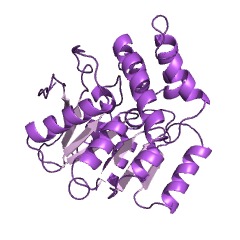 Example Structure of 3-hydroxy-4-oxoquinoline 2,4-dioxygenase EC#: 1.13.11.47