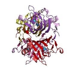Example Structure of acetylacetone-cleaving enzyme EC#: 1.13.11.50