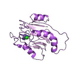 Example Structure of acireductone dioxygenase (Ni2+-requiring) EC#: 1.13.11.53