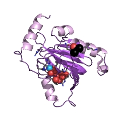 Example Structure of acireductone dioxygenase [iron(II)-requiring] EC#: 1.13.11.54