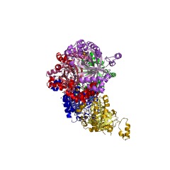 Example Structure of sulfur oxygenase/reductase EC#: 1.13.11.55