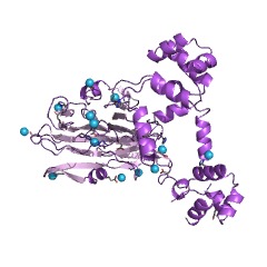 Example Structure of 2-hydroxyethylphosphonate dioxygenase EC#: 1.13.11.72