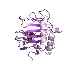 Example Structure of DNA oxidative demethylase EC#: 1.14.11.33