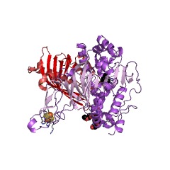 Example Structure of toluene dioxygenase EC#: 1.14.12.11