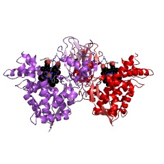 Example Structure of epi-isozizaene 5-monooxygenase EC#: 1.14.13.106