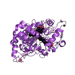 Example Structure of cholest-4-en-3-one 26-monooxygenase [(25R)-3-oxocholest-4-en-26-oate forming] EC#: 1.14.13.221
