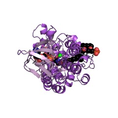 Example Structure of 3-hydroxybenzoate 6-monooxygenase EC#: 1.14.13.24