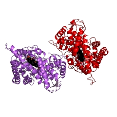 Example Structure of (S)-limonene 7-monooxygenase EC#: 1.14.13.49